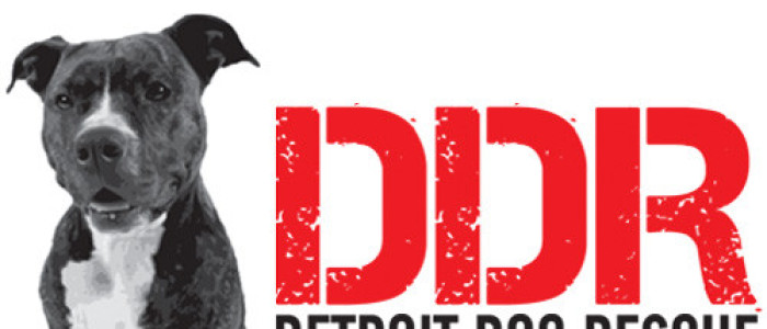 making days brighter for dogs in detroit