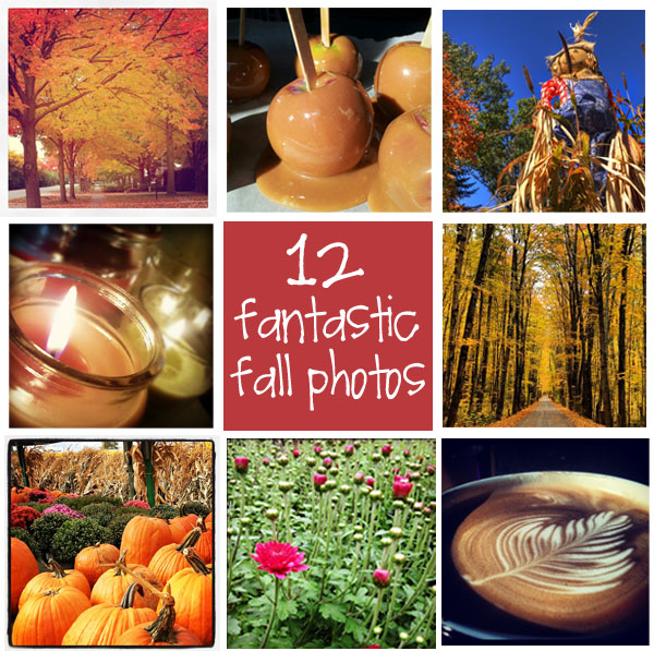 ive been capturing a few of my favorite things about autumn