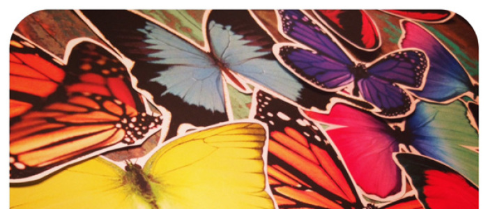 bring on the butterflies